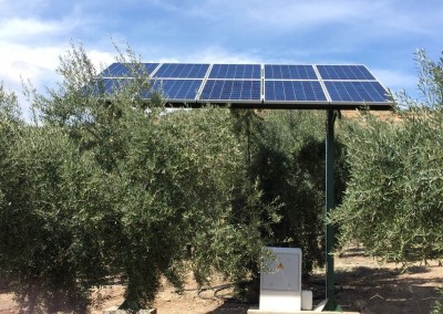 BOMBEO SOLAR Y RIEGO LLAVE EN MANO PARA OLIVAR